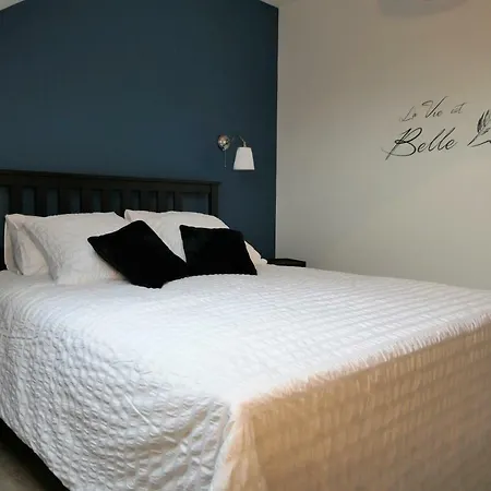 La maison Virginie logements de 1 à 5 pers centre, climatisation, parking, linge, wifi, proximité lac canal piscine Montargis Exterior foto