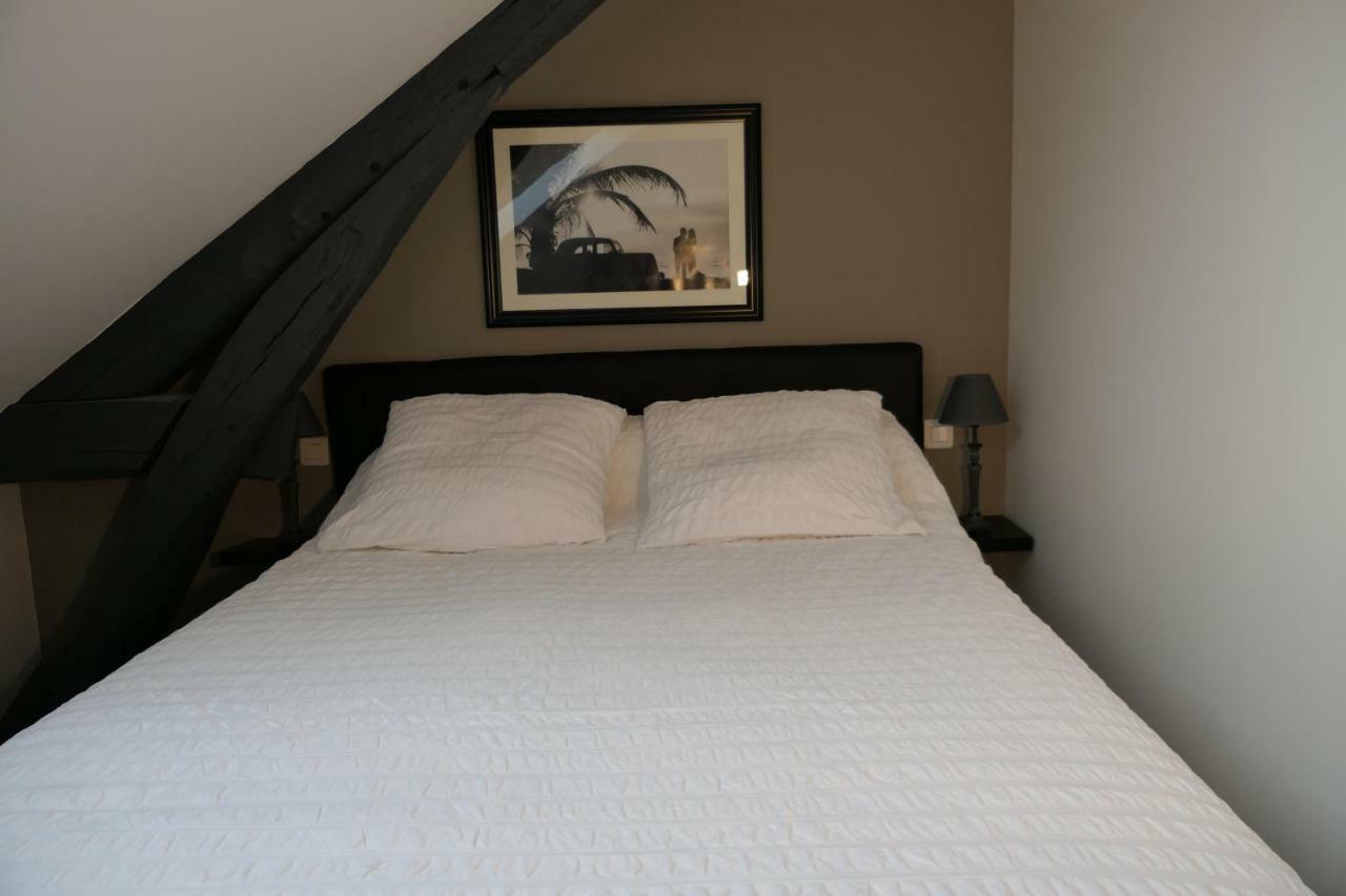 La Maison Virginie Appartements Climatises De 1 A 5 Pers Cosy Hyper Centre Cour Parking Linge Fibre Proximite Port Lac Canal Piscine Apartment