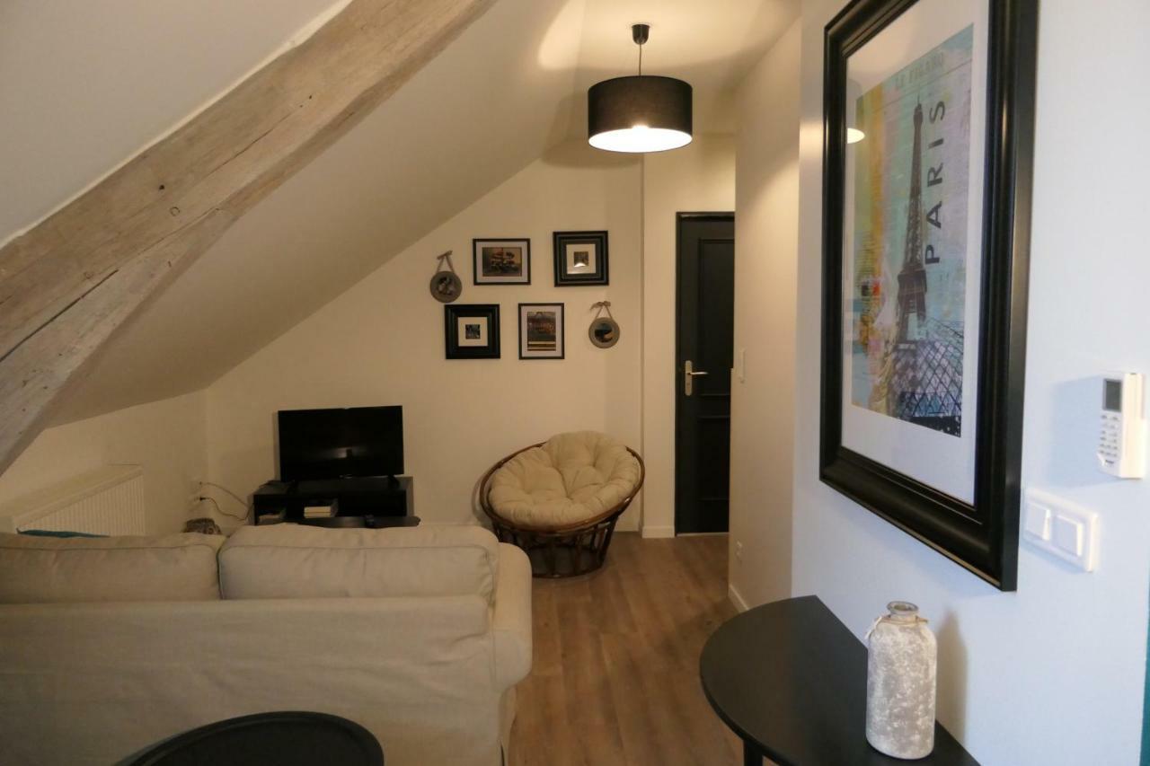 La Maison Virginie Appartements Climatises De 1 A 5 Pers Cosy Hyper Centre Cour Parking Linge Fibre Proximite Port Lac Canal Piscine Apartment *